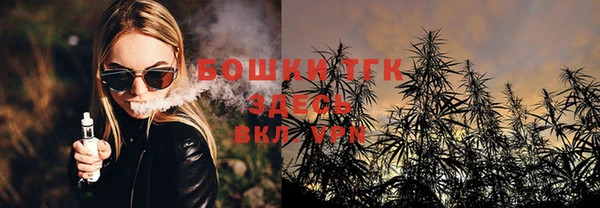 экстази Арсеньев