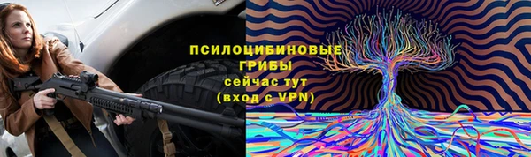 экстази Арсеньев