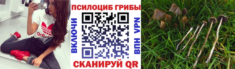 хочу   Миньяр  Галлюциногенные грибы мухоморы 